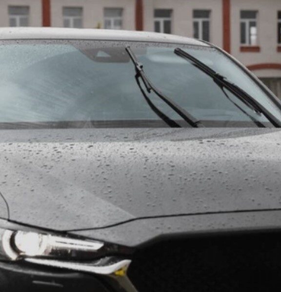 Milostný list stieračom